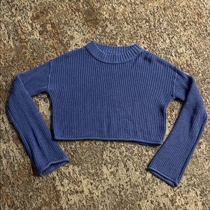 Wild Fable Crop Sweater